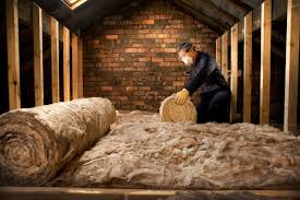 Best Insulation Removal  in Selma, TX