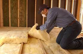 Best Attic Insulation Installation  in Selma, TX