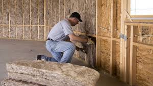 Best Soundproof Insulation  in Selma, TX