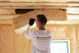 Best Eco-Friendly or Green Insulation Solutions  in Selma, TX