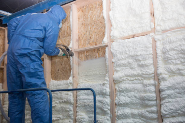 Best Attic Insulation Installation  in Selma, TX